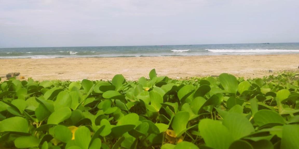 Chan Beach Resort Bahur エクステリア 写真