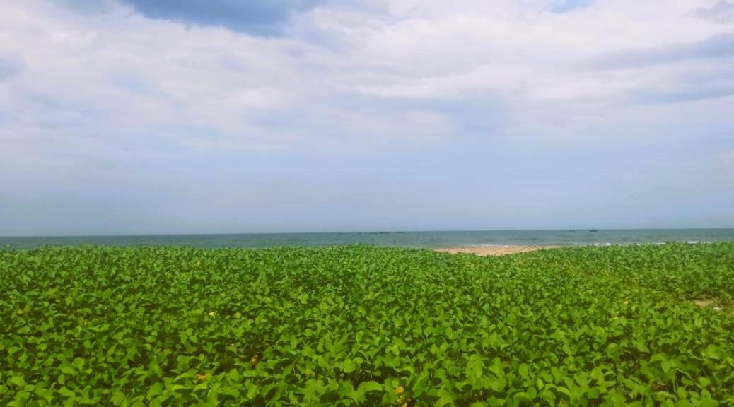 Chan Beach Resort Bahur エクステリア 写真